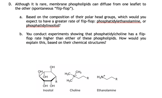 D. Although it is rare, membrane phospholipids can diffuse from one leaflet to the other (spontaneous flip-flop) a. Based on the composition of their polar head groups, which would you expect to have a greater rate of flip-flop: phosphatidylethanglamine, or phosphatidylinositol? b. You conduct experiments showing that phosphatidylcholine has a flip- flop rate higher than either of these phospholipids. How would you explain this, based on their chemical structures? он он Нас OH OH Inositol Choline Ethanolamine