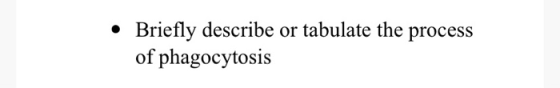 • Briefly describe or tabulate the process of phagocytosis