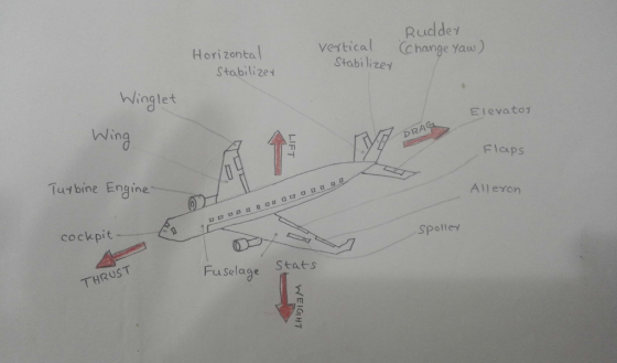 verticalRuddey vertical Change Yaw) Hori zonta Stabilize StabilizeN Winglet E I evatoプ Win DRA Flcps Tutbine Engine Alleron cockpit spolley Fuselage Stats THRUST