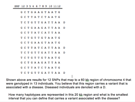 Image for Shown above are results for 12 SNPs that map to a 60 region of chromosome 4 that were genotyped in 13 individu