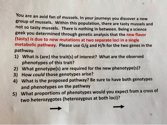 You are an avid fan of mussels. In your journeys you discover a new group of mussels. Within this population, there are tasty