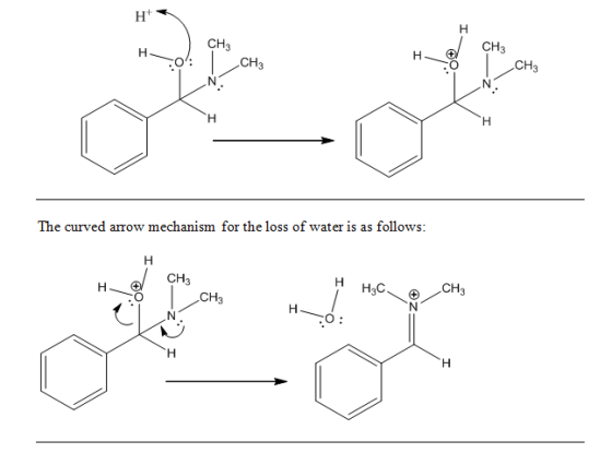 Ht CH3 CH3 CH3 CH3 arrow mechanism for the loss of water is as follows: The curved CH3 CH3 Нас CH3