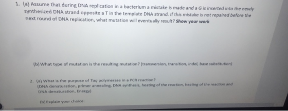 1. (a) Assume that during DNA replication in a bacterium a mistake is made and a G is inserted into the newly synthesized DNA