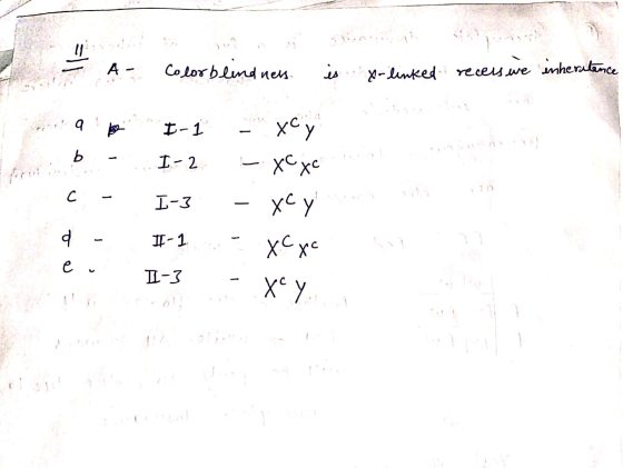 =]] А - Colorblind news. is X-linked X-linked recess we inheritence 4 E-1 хсу b І- 2 Хc to C L-7 хсу 4 -1, e хсхе. х у Т-7