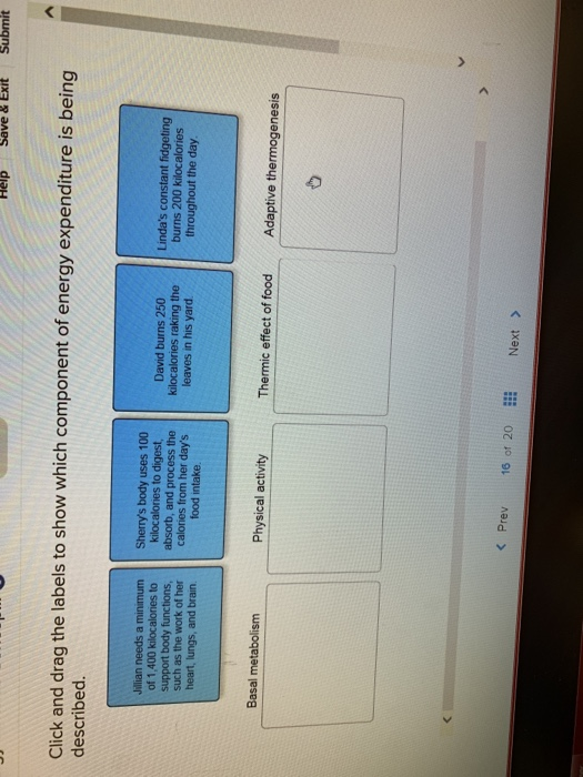 Help Save & Exit Submit Click and drag the labels to show which component of energy expenditure is being described. Jillian n