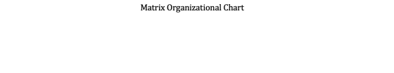 Matrix Organizational Chart