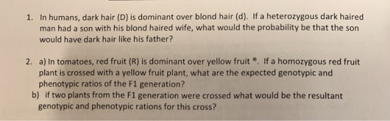 1. In humans, dark hair (D) is dominant over blond hair (d). If a heterozygous dark haired man had a son with his blond haire