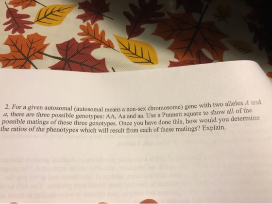 2. For a given autosomal (autosomal means a non-sex cl (autosomal means a non-sex chromosome) gene with two alleles A and are