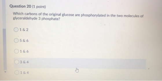 Question 20 (1 point) Which carbons of the original glucose are phosphorylated in the two molecules of glyceraldehyde 3 phosp
