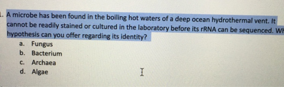 A microbe has been found in the boiling hot waters of a deep ocean hydrothermal vent. It cannot be readily stained or culture