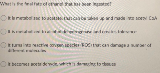 What is the final fate of ethanol that has been ingested? It is metabolized to acetate, that can be taken up and made into ac