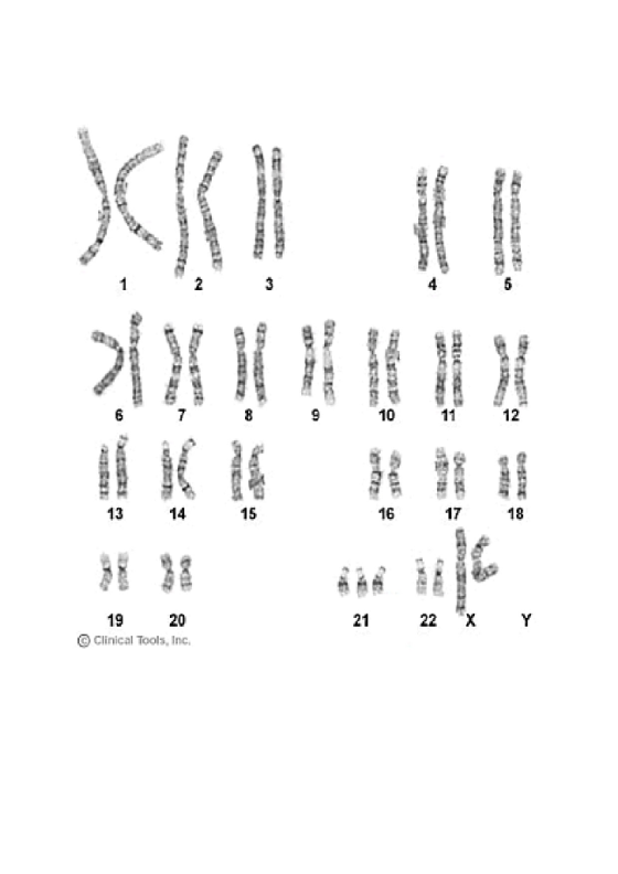 13 14 15 16 17 19 20 © Clinical Tools, Inc, 21 22 X Y