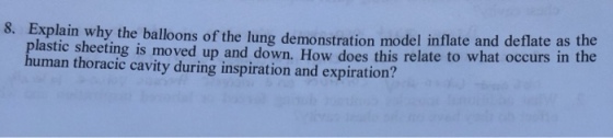 8. Explain why the balloons of the lung demonstration model inflate and deflate as the does this relate to what occurs in the plastic sheeting is moved up and down. How human thoracic cavity during inspiration and expiration?