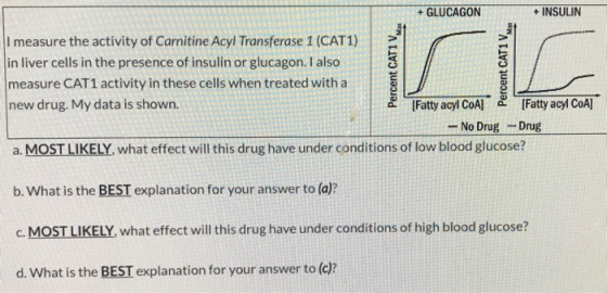 + GLUCAGON + INSULIN I measure the activity of Carnitine Acyl Transferase 1 (CAT1) in liver cells in the presence of insulin