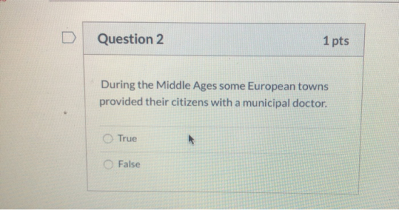 Question 2 1 pts During the Middle Ages some European towns provided their citizens with a municipal doctor. True False