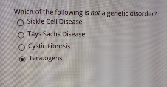 Which of the following is not a genetic disorder? O Sickle Cell Disease O Tays Sachs Disease O Cystic Fibrosis O Teratogens