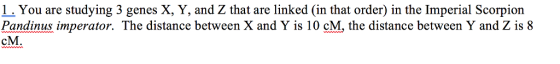 1. You are studying 3 genes X, Y, and Z that are linked (in that order) in the Imperial Scorpion Pandinus imperator. The distance between X and Y is 10 cM, the distance between Y and Z is 8 cM