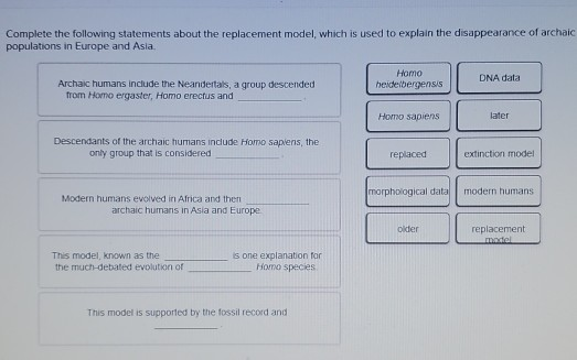 Complete the following statements about the replacement model, which is used to explain the disappearance of archaic populati