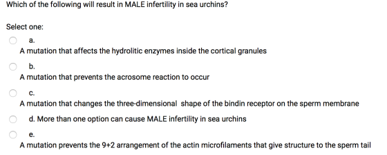 Which of the following will result in MALE infertility in sea urchins? Select one: a. A mutation that affects the hydrolitic
