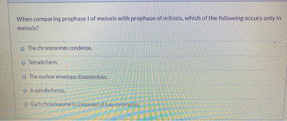 When comparing prophase I of meiosis with prophase of mitosis, which of the following occurs only in meiosis? The chromosomes