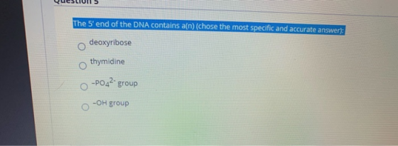 Yuc>LIUI > The 5 end of the DNA contains a(n) (chose the most specific and accurate answer): odeoxyribose thymidine O-PO42 g
