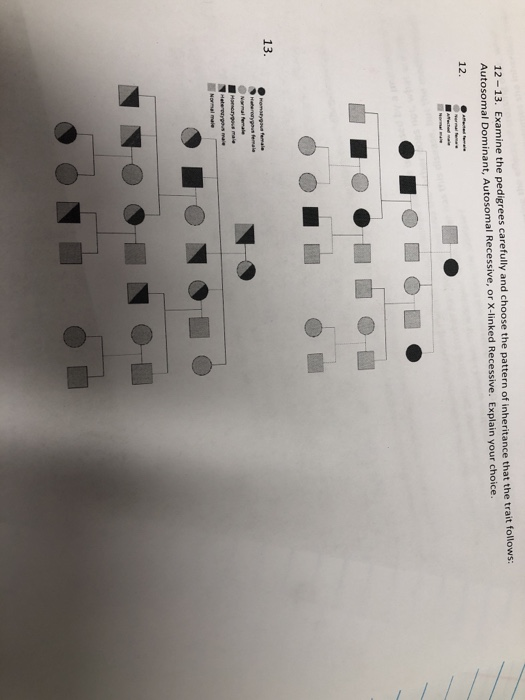 12-13. Examine the pedigrees carefully and choose th Autosomal Dominant, Autosomal Recessive, or X-linked Recessive. Ex 12 e pattern of inheritance that the trait follows: plain your choice 13