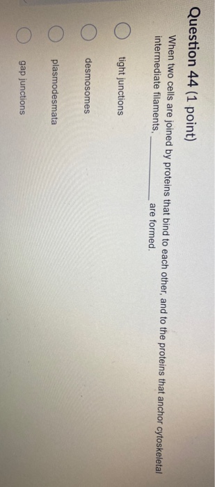Question 44 (1 point) When two cells are joined by proteins that bind to each other, and to the proteins that anchor cytoskel