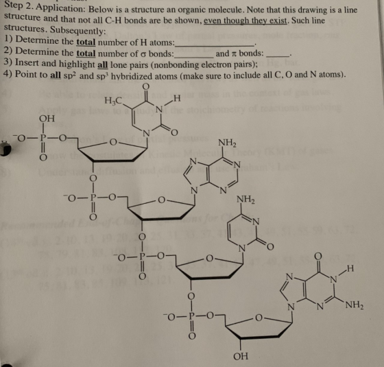 Slep 2. Application: Below is a structure an organic molecule. Note that this drawing is a line structure and that not all C-