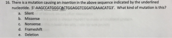 16. There is a mutation causing an insertion in the above sequence indicated by the underlined nucleotide. 5-AAGCCATGGGCACTG