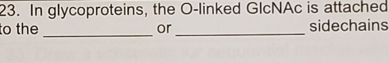 23. In glycoproteins, the O-linked GlcNAc is attached to the or sidechains