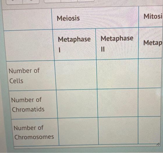 Meiosis Mitosi Metaphase Metaphase Metap 1 II Number of Cells Number of Chromatids Number of Chromosomes