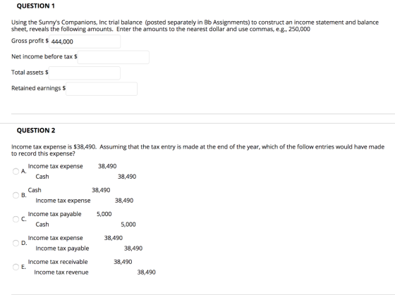 QUESTION 1 Using the Sunnys Companions, Inc trial balance (posted separately in Bb Assignments) to construct an income state
