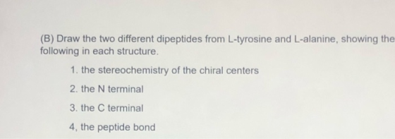 (B) Draw the two different dipeptides from L-tyrosine and L-alanine, showing the following in each structure. 1. the stereoch