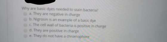 Why are basic dyes needed to stain bacteria? a. They are negative in charge b. Nigrosin is an example of a basic dye c. The c