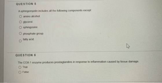 QUESTION 5 A sphingomyelin includes all the following components except O amino alcohol glycerol O sphingosine O phosphate gr