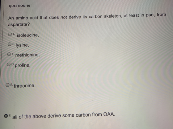 QUESTION 10 An amino acid that does not derive its carbon skeleton, at least in part, from aspartate? O A isoleucine, OB.Iysi