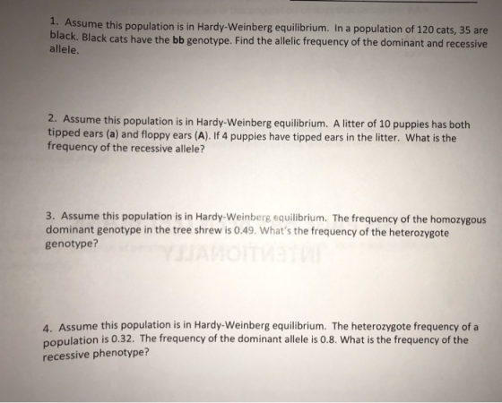 Evolution 1 Assume This Population Is In Hardy Weinberg Equilibrium Evolution 1 Assume This Population Is In Hardy Weinberg Equilibrium