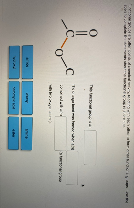 Functional groups are often points of chemical activity, reacting with each other to form other functional groups. Use the la