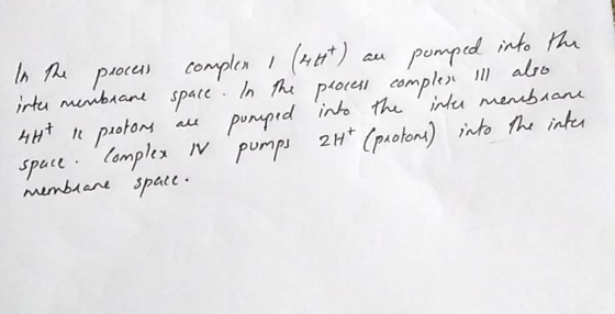 In the process complex I (44t) au pomped into the inter membrane space. In the process compler ill also 447 n proton all pump