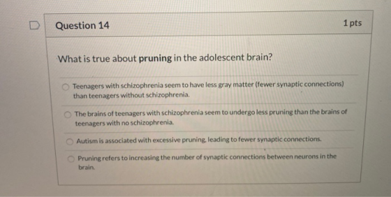 Question 14 1 pts What is true about pruning in the adolescent brain? Teenagers with schizophrenia seem to have less gray mat