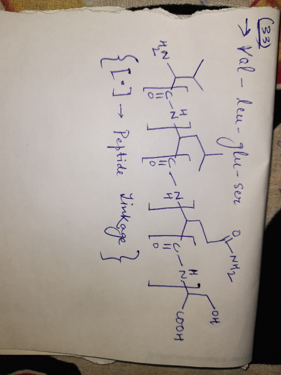 (33) val-leu-glu-ser only OH u -oor Tc-NE Hi ] 10 {1- 1 - peptide linkage}