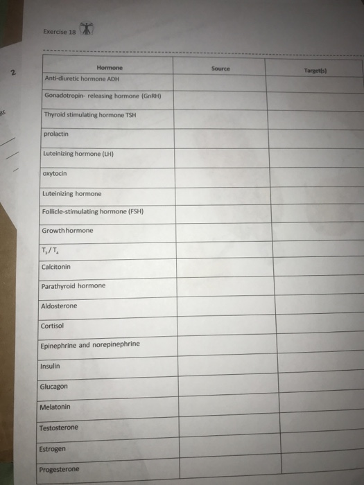 Exercise 18 Hormone Source Target(s) Anti-diuretic hormone ADH Gonadotropin- releasing hormone (GnRH) Thyroid stimulating hor