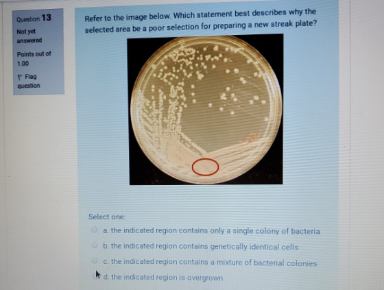 Question 13 Refer to the image below. Which statement best describes why the selected area be a poor selection for preparing
