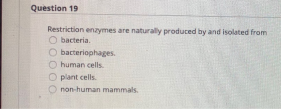 Question 19 Restriction enzymes are naturally produced by and isolated from O bacteria. O bacteriophages. O human cells. O pl