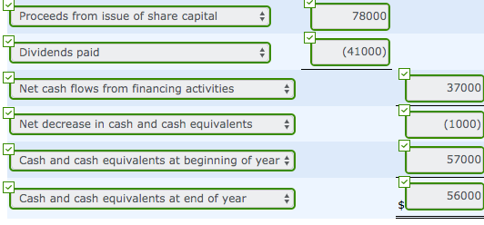 Proceeds from issue of share capital 78000 Dividends paid (41000) Net cash flows from financing activities 37000 Net decrease