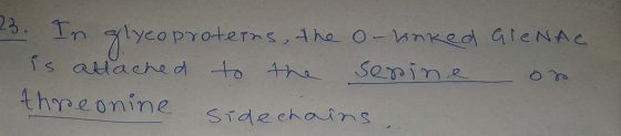 23. In glycoproterns, the onlinked GIENA is allached to the sesine on threonine sidechains.