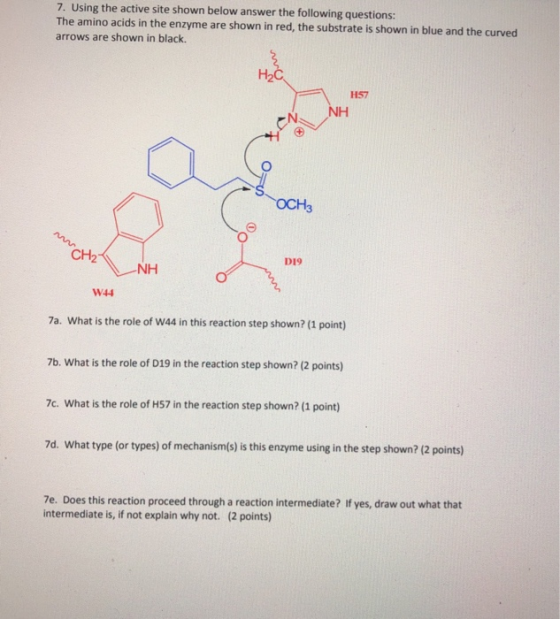 7. Using the active site shown below answer the following questions: The amino acids in the enzyme are shown in red, the subs
