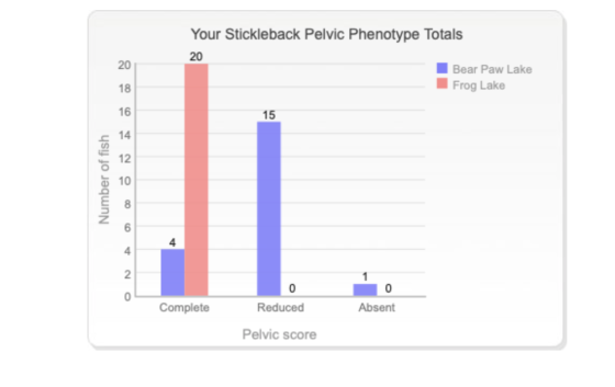 Your Stickleback Pelvic Phenotype Totals 20 20 Bear Paw Lake Frog Lake 18 16 15 14 12 Number of fish 10 8 6 4 4 2 0 0 0 Compl