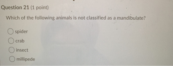 Question 21 (1 point) Which of the following animals is not classified as a mandibulate? spider crab insect millipede
