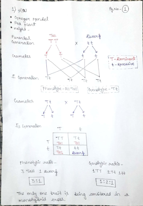 WETT 1) (b) • Gregor Mendel • Pea plant • Height - 1 Parental Generation Tall TT Dwarf tt X Gametes T-Dominant! it- Recessive